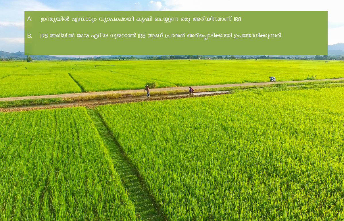 SONA-MASSORI0111000000-(1)